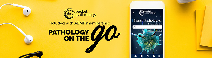 Yellow background with a set of white, wired headphones in the upper left corner and a phone on the right side with the Pathology on the Go app on the display. The image says "ABMP Pocket pathology, included with ABMP membership, Pathology on the Go
